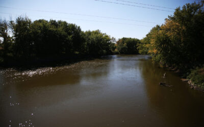 Big Sioux River buffer program takes off with higher landowner payments