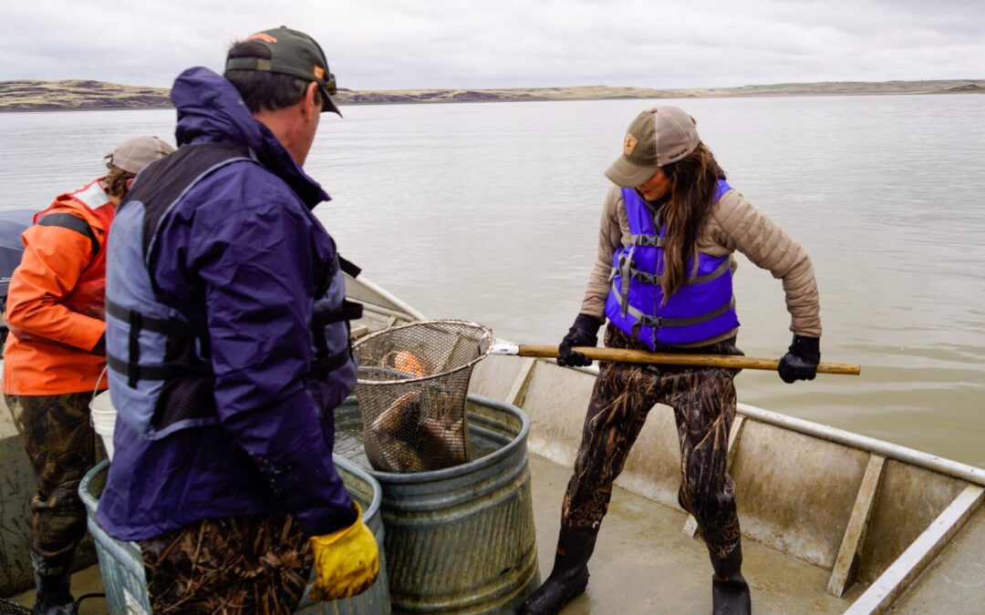 Fish populations affected by severe winter kill, restoration efforts underway