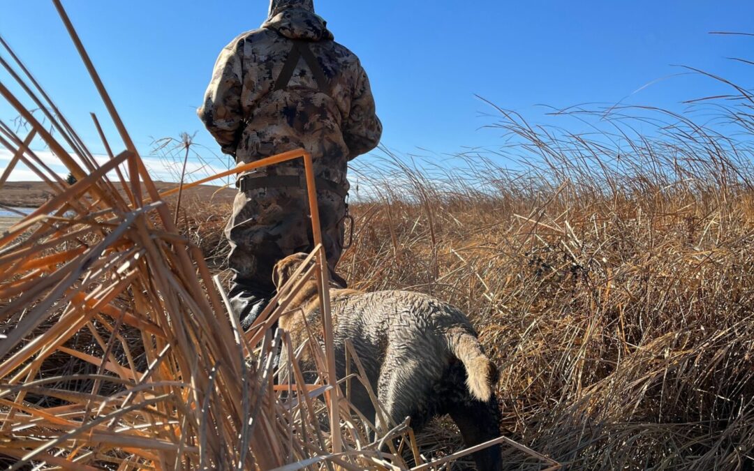 Commission approves more out-of-state duck hunting licenses, despite opposition