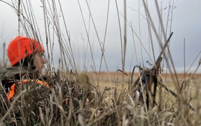 Petition for mandatory big-game harvest reporting fails; state says e-reporting is in the works