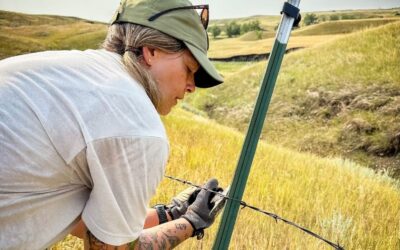 Bowhunters are volunteering to improve pronghorn survival in western South Dakota