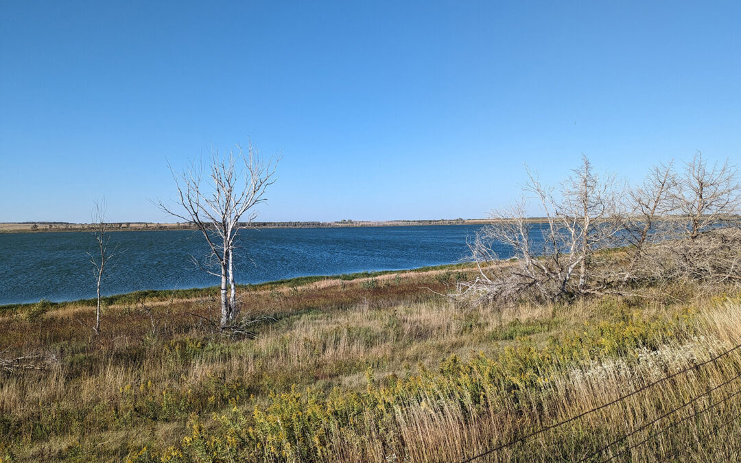 80% of tested surface water in South Dakota fails to meet state standards