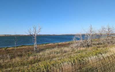 80% of tested surface water in South Dakota fails to meet state standards