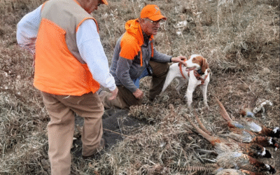 GF&P looks to lease 25,000 acres along the Big Sioux watershed