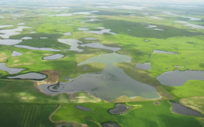 Feds propose drainage rules to protect wetlands in SD and nearby states