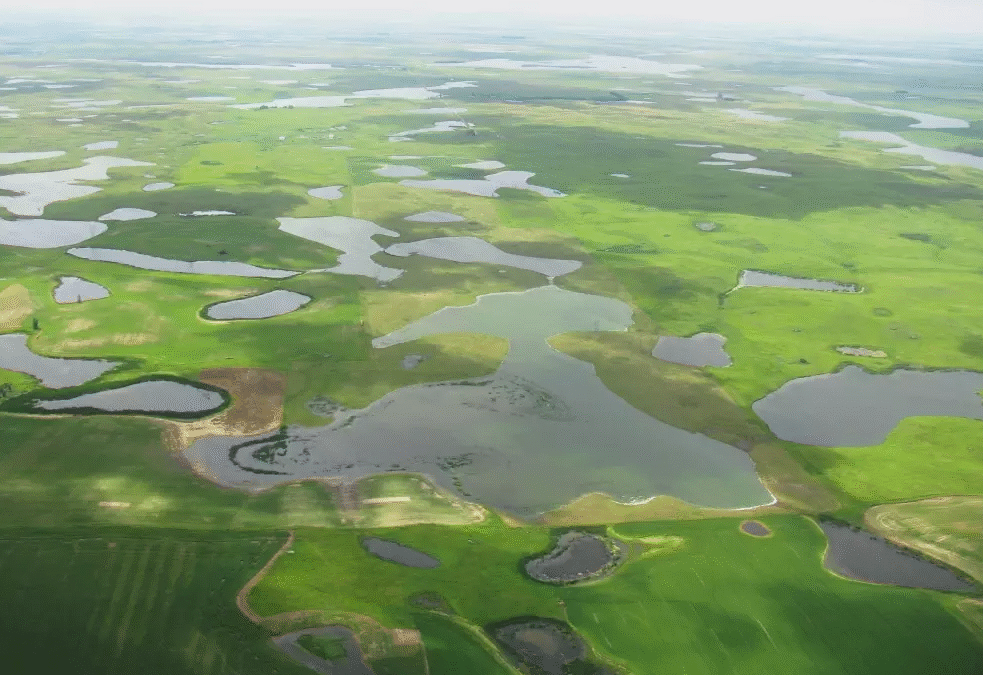 Feds propose drainage rules to protect wetlands in SD and nearby states