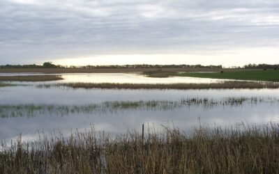 Call for input on wetlands regulations should catch South Dakotans’ attention