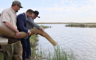 South Dakota has a conservation priorities problem
